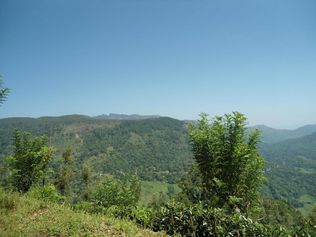 Mount River View แคนดี้ ภายนอก รูปภาพ